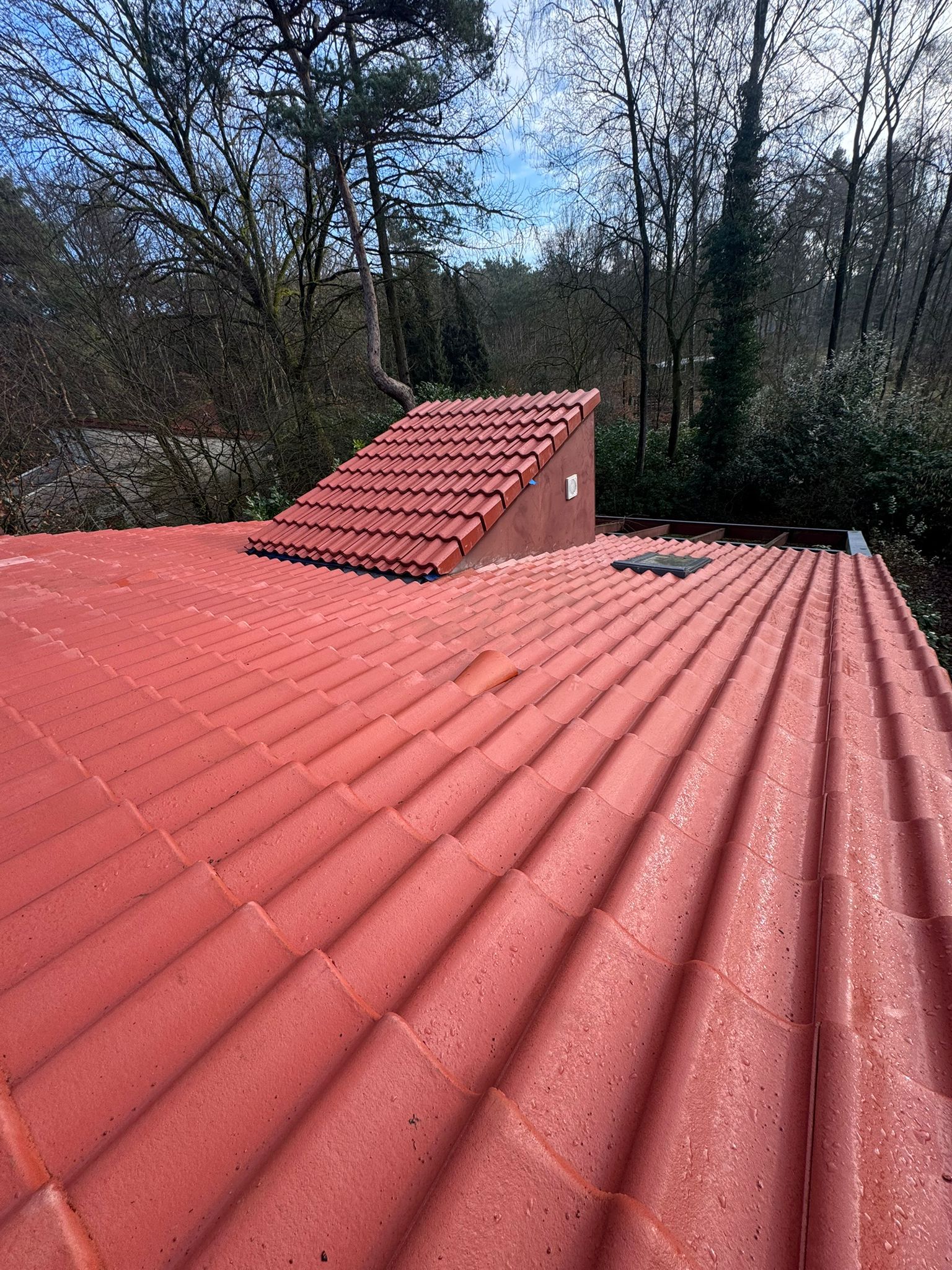 09d8fa08-cd9e-41eb-bd8c-40e81f1f8240