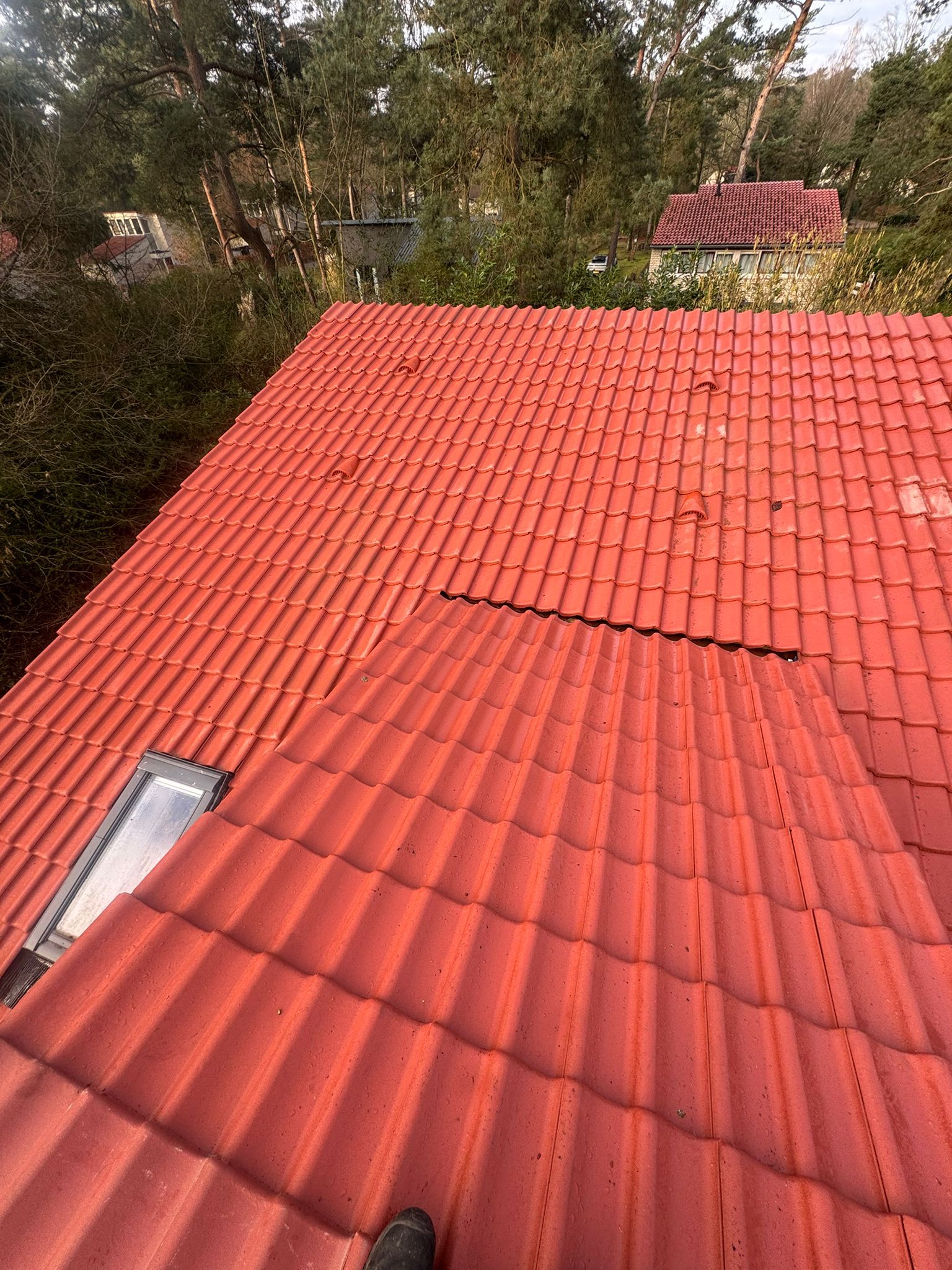 ce5859c1-d4c8-4aac-9670-0b58acede574