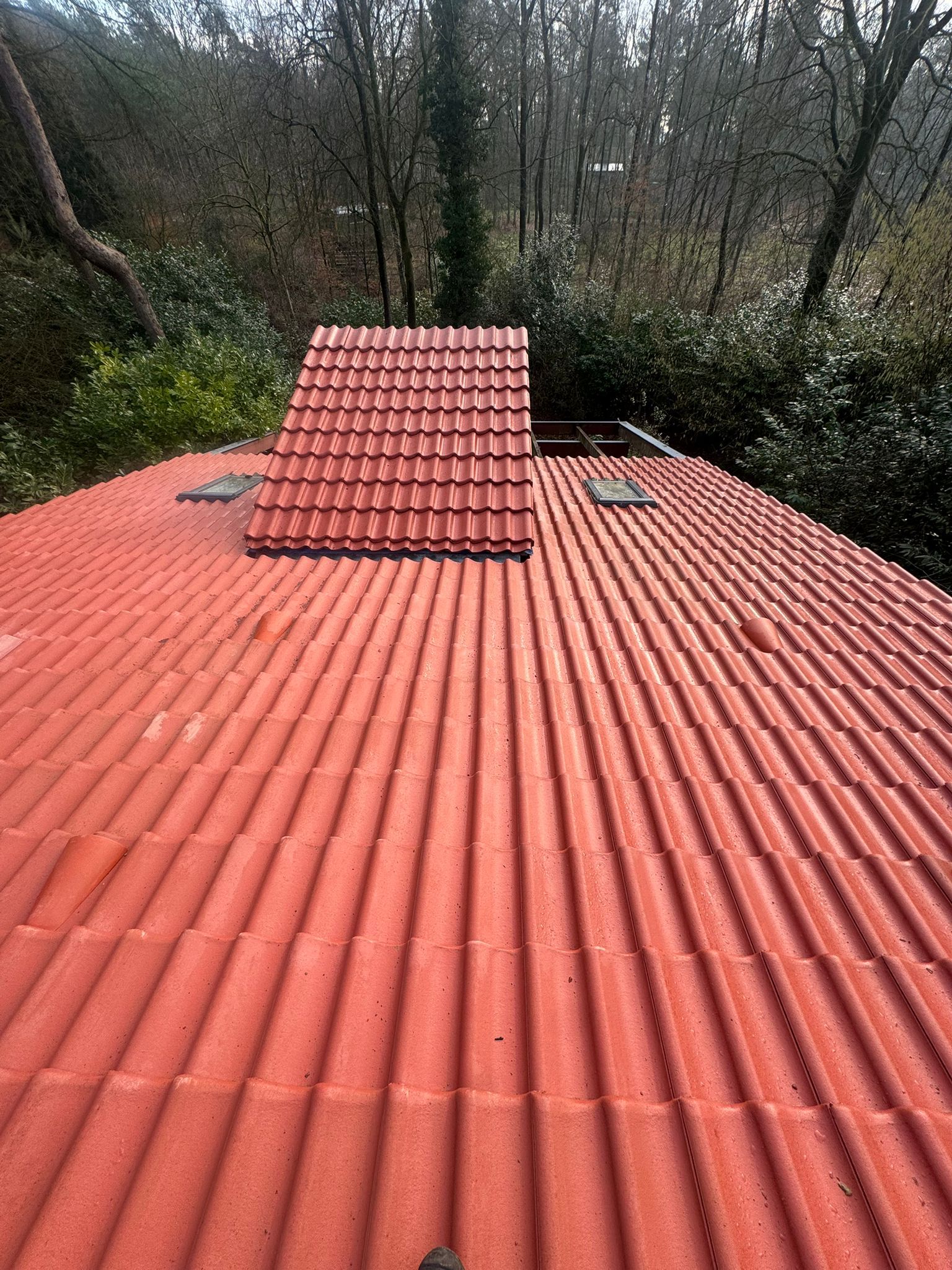 d248b2bf-4757-418a-b83a-3a88961daabb