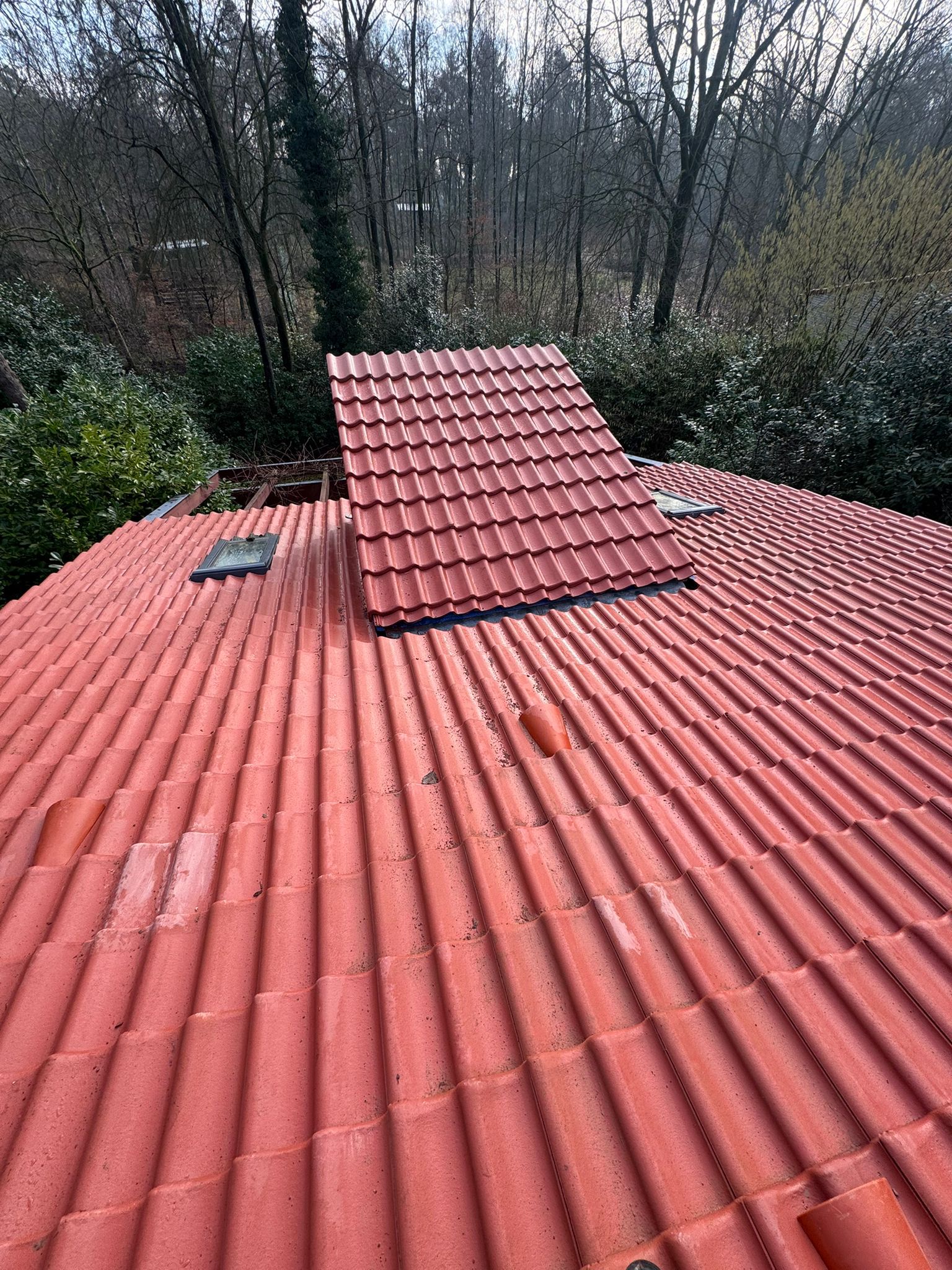 fe012aa0-a2a1-458c-94b2-c23f71a2983a